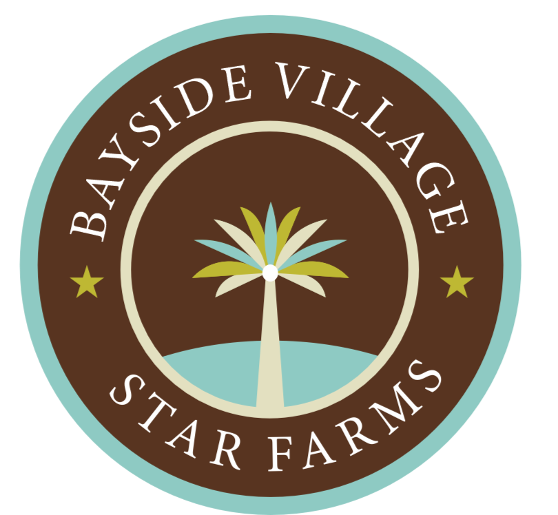 Bayside Village at Star Farms